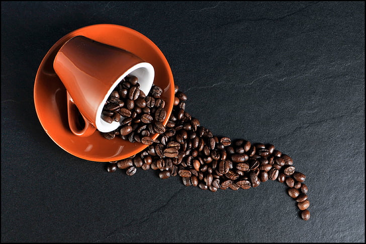 你会花2000多买一杯咖啡吗？